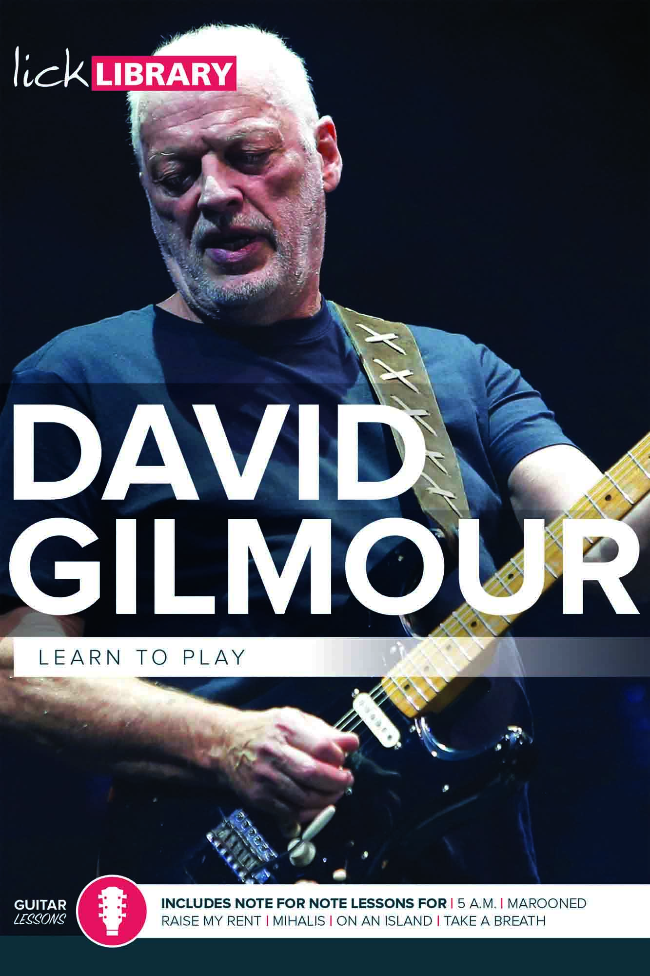 Learn To Play David Gilmour